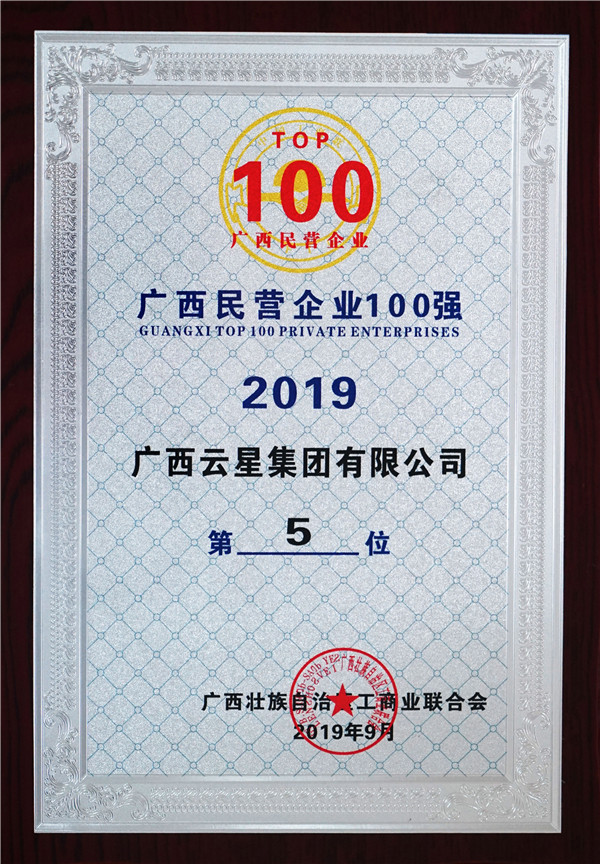 “2019广西民营企业100强”，位列第5位